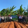 Perkuat Ketahanan Pangan Daerah, Polres Jepara Tanam Jagung Serentak Kuartal III Bersama Petani