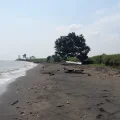 Pelabuhan Internasional Balong Jadi Poros Maritim Baru, Jepara Siap Jadi Pusat Niaga Global