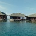 WASKITA Desak DPR Panggil Pemilik Resort Mega Diving Pulau Tengah Karimunjawa Dugaan Ilegal Logging