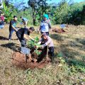Aksi Nyata Di Batealit: Polisi, TNI, Dan Jajaran Forkopimda Bersama Warga  Kompak Hijaukan Lingkungan