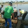 Mengapung dengan Luka, Kematian Pria Di Ujung Batu Bikin Geger Jepara