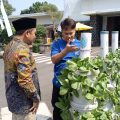 Ketua DPRD Jepara Kaji Program Buruan Sae, Dorong Pemanfaatan Pekarangan Untuk Ketahanan Pangan