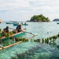 Budidaya Rumput Laut Di Karimunjawa Dapat Perhatian Dari KKP, Ka. Diskan Jepara Menjelaskan
